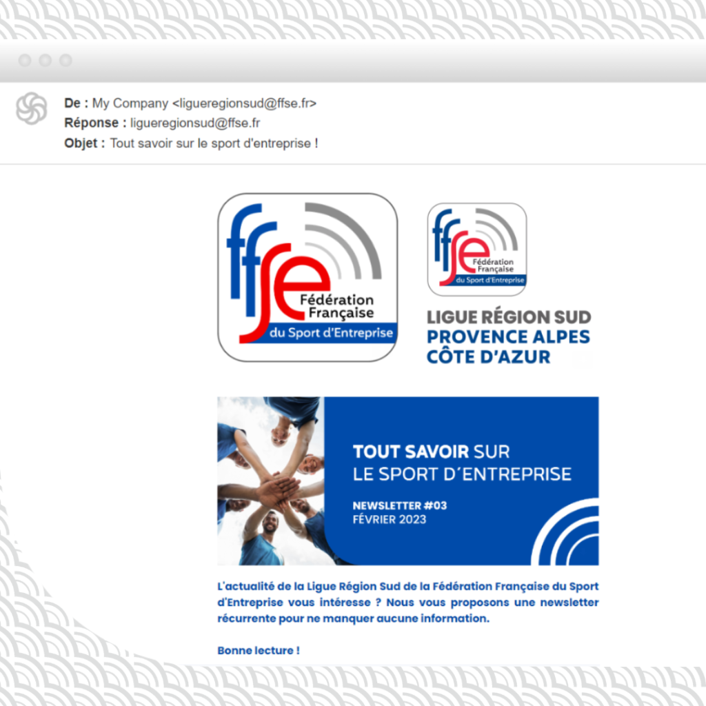 Ffse Layout Actualité - FFSE Région Sud - Bien plus que du sport